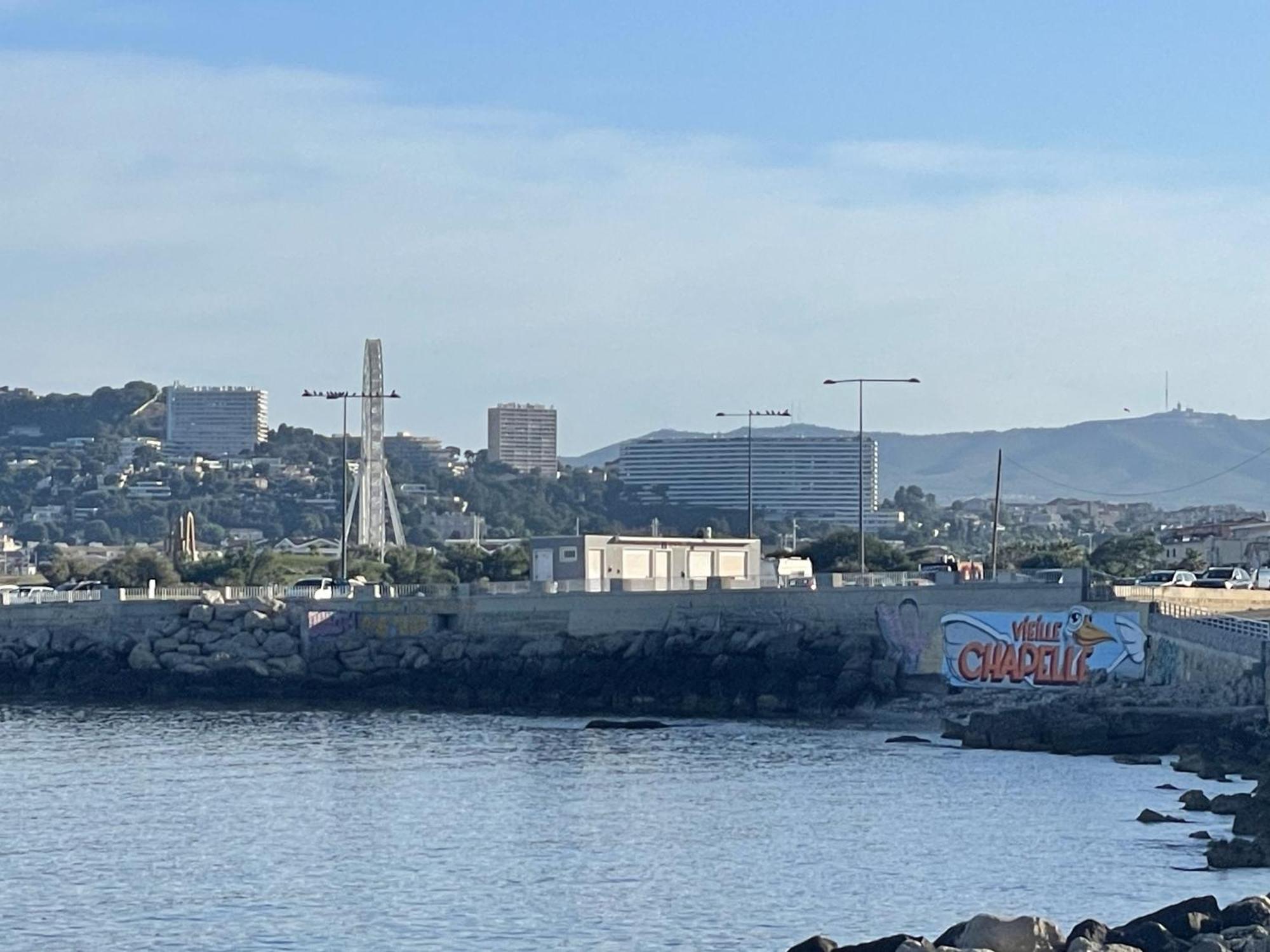 Balaena Marseilles